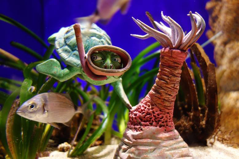 Foto: Acquario Cala Gonone