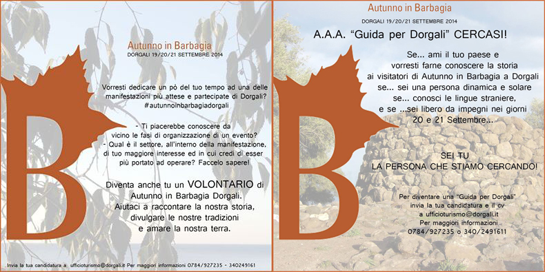 AAA-volontari-guide-cortes.jpg