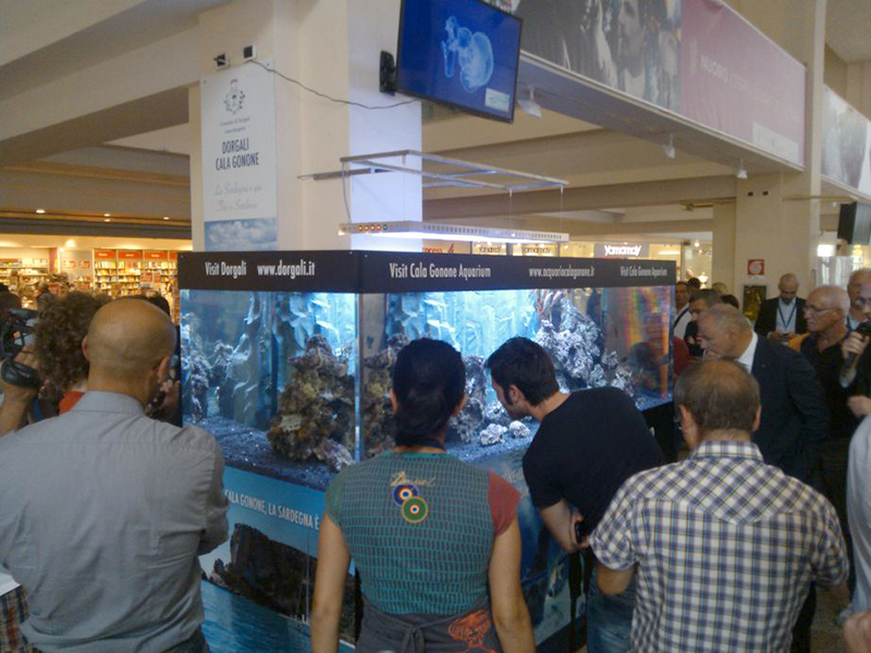 Acquario in Aeroporto - Foto: Stefano Lavra
