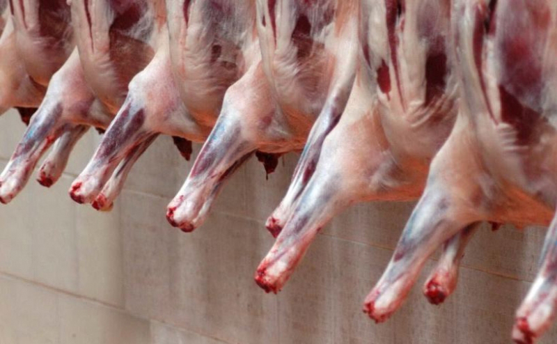 Foto da l'Unione sarda