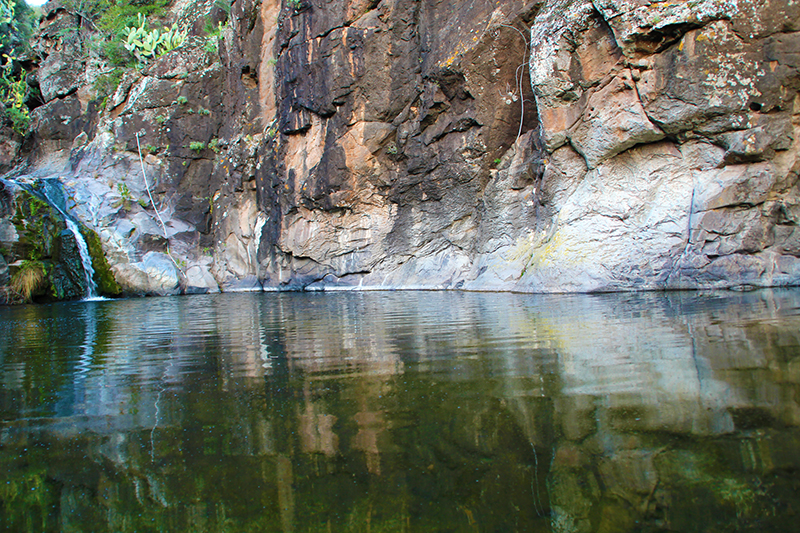 Canyon Caddaris - Dorgali