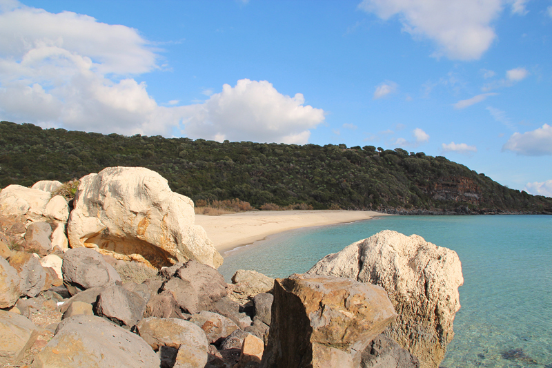 Cartoe - 26 dicembre 2014