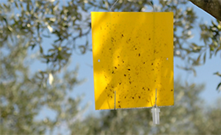 sardegnaagricoltura.it