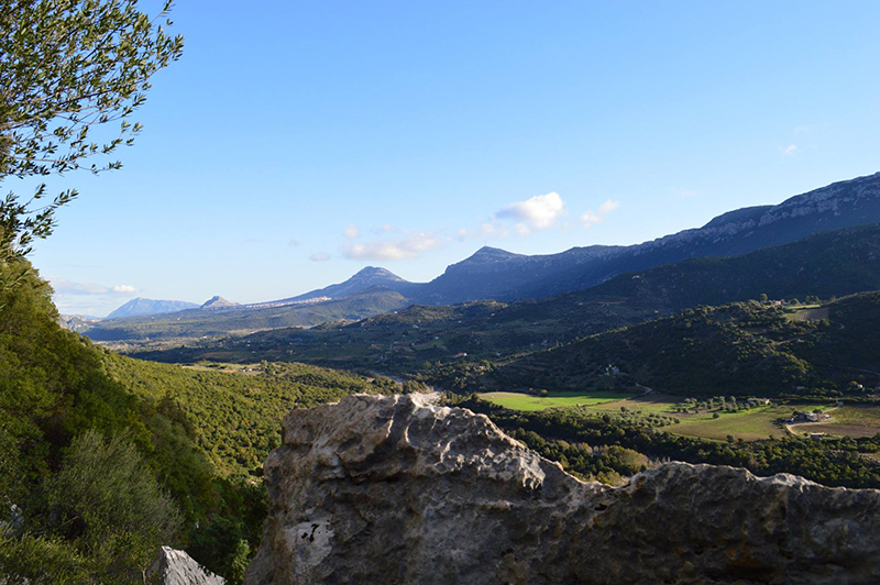 Dorgali, 8 dicembre 2014 - Foto: Valentina Spanu