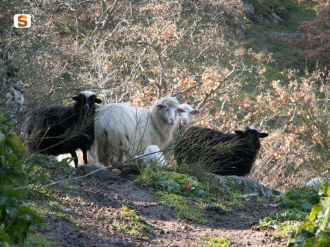 Foto: Pierina Cagnoni