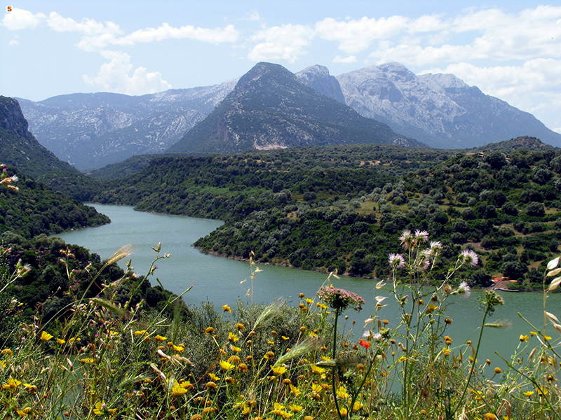 Valle del Cedrino - Foto: Piscedda Odilia