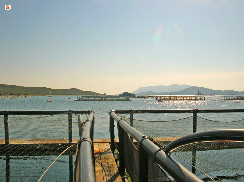 Olbia, impianto per l'acquacoltura - Autore: Viale Iolanda - Foto: SardegnaDigitalLibrary
