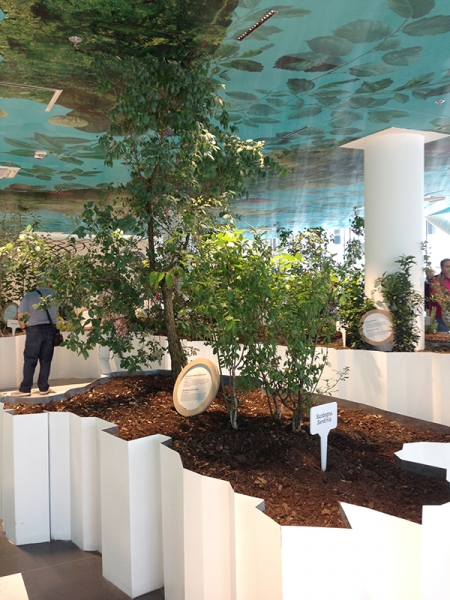 Expo 2015 - Eccellenze Bio Padiglione Italia - Foto: La Redazione