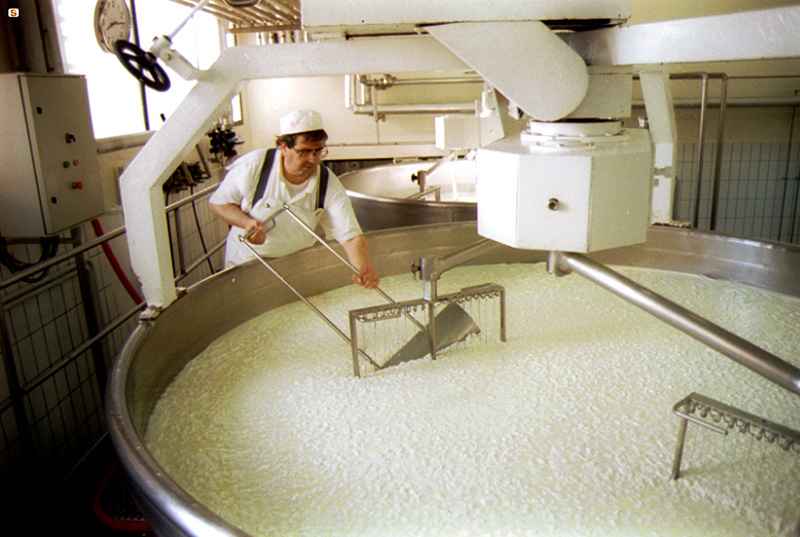 Lavorazione prodotti lattiero caseari - Autore: Cossu Antonio - Foto: sardegnadigitallibrary.it